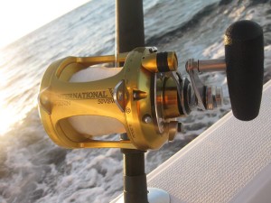 cabo fishing charters