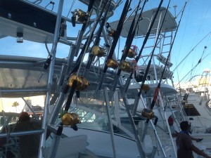 cabo fishing charters