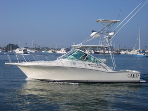 deep sea fishing in Cabo, Cabo yacht charters, Cabo sportfishing reports, Cabo fishing reports, Cabo sportfishing rentals, Cabo sportfishing charters, Gordo bank fishing,