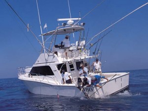 cabo fishing charters