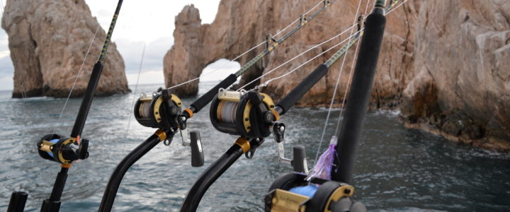 Cabo fishing reports