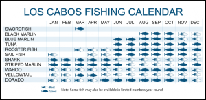 cabo fishing calendar 11