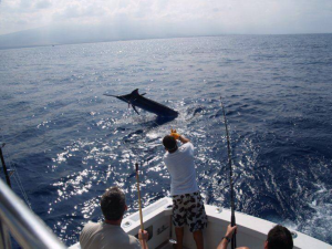 cabo fishing charters