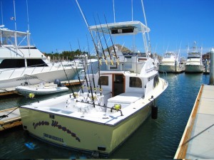 tag cabo sportfishing 7778