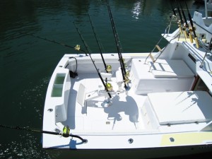 cabo fishing charters