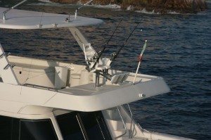 cabo fishing charters