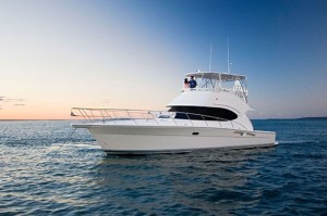 cabo fishing charters