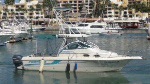 cabo fishing charters