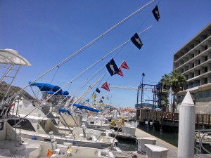 Cabo fishing rentals/ Cabo fishing charters