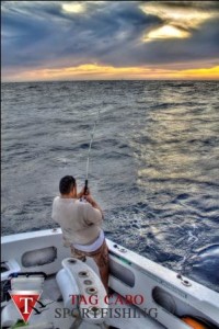 Cabo fishing charters 123