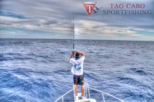 tag cabo sportfishing