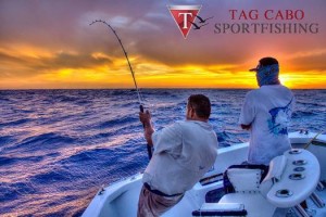 Cabo fishing charters