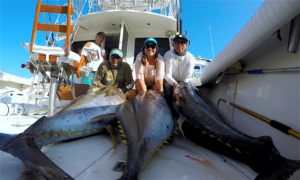 tag cabo sportfishing big tuna group