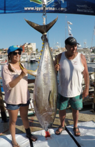 Cabo fishing report/Cabo fishing reports