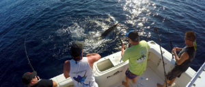 deep sea fishing in Cabo, Cabo yacht charters, Cabo sportfishing reports, Cabo fishing reports, Cabo sportfishing rentals, Cabo sportfishing charters, Gordo bank fishing,