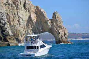 deep sea fishing in Cabo, Cabo yacht charters, Cabo sportfishing reports, Cabo fishing reports, Cabo sportfishing rentals, Cabo sportfishing charters, Gordo bank fishing,