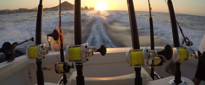 Deep Sea Fishing Adventure in Cabo – What You Need to Know