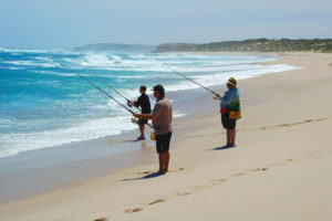 Sports Fishing in Cabo San Lucas