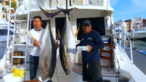 deep sea fishing in Cabo, Cabo yacht charters, Cabo sportfishing reports, Cabo fishing reports, Cabo sportfishing rentals, Cabo sportfishing charters, Gordo bank fishing,