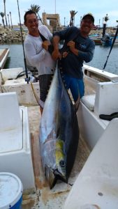 deep sea fishing in Cabo, Cabo yacht charters, Cabo sportfishing reports, Cabo fishing reports, Cabo sportfishing rentals, Cabo sportfishing charters, Gordo bank fishing,