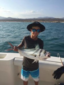 Cabo fishing report August 2017