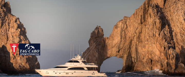 Fishing on board a luxury yacht charter in Cabo San Lucas