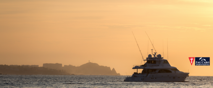 Cabo San Lucas: The Ultimate Summer Vacation Spot