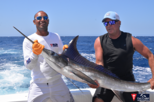 deep sea fishing in Cabo, Cabo yacht charters, Cabo sportfishing reports, Cabo fishing reports, Cabo sportfishing rentals, Cabo sportfishing charters, Gordo bank fishing,