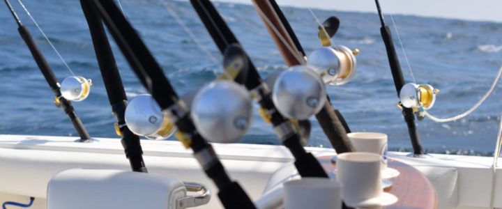 Deep Sea Fishing in Los Cabos