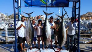 Deep sea fishing in Cabo, Cabo fishing reports, Cabo sportfishing reports, Cabo sportfishing rentals, Cabo luxury yacht charters, Cabo fishing rentals