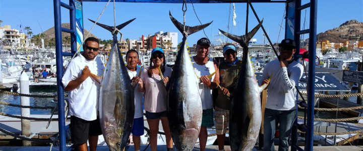 Deep Sea Fishing in Los Cabos: The Ultimate Vacation Experience