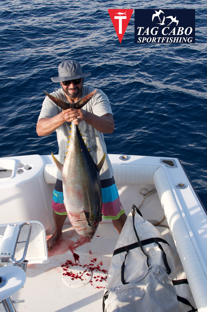 Cabo San Lucas fishing reports - Tag Cabo Sportfishing