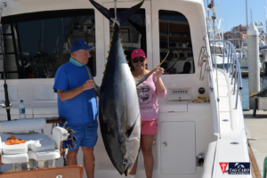 deep sea fishing in Cabo, Cabo yacht charters, Cabo sportfishing reports, Cabo fishing reports, Cabo sportfishing rentals, Cabo sportfishing charters, Gordo bank fishing,Cabo fishing report