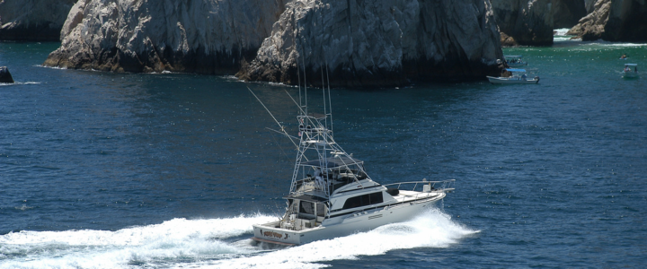 Picking the Best Time for Deep Sea Fishing in Cabo San Lucas, Mexico