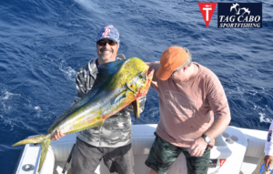 Cabo San Lucas fishing reports