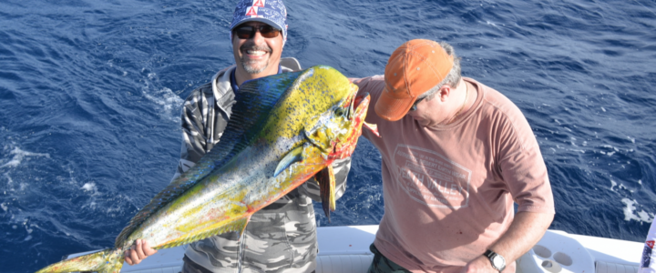 Cabo San Lucas fishing report January 2018