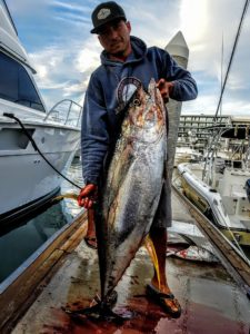 Cabo fishing report