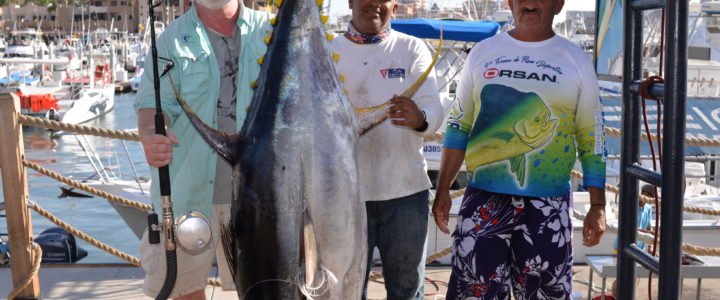 Cabo fishing report February 9, 2018