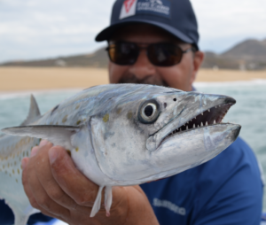 Cabo San Lucas fishing reports