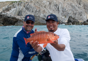 Cabo San Lucas fishing reports