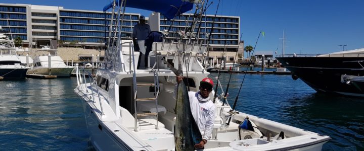 Cabo fishing report