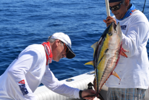 Cabo fishing report