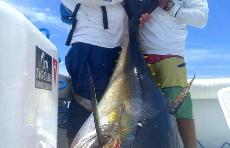 An Fishing Expedition of A Lifetime: Catching 200 lbs. Tunas in Cabo San Lucas!