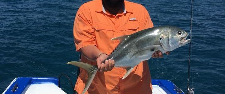 Cabo San Lucas fishing report May 1st 2018