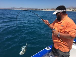 Cabo fishing report