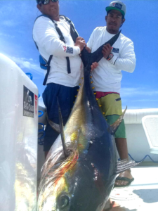 An Fishing Expedition of A Lifetime: Catching 200 lbs. Tunas in Cabo San Lucas