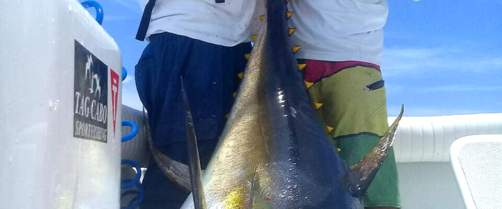 An Fishing Expedition of A Lifetime: Catching 200 lbs. Tunas in Cabo San Lucas!