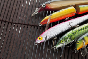 Does Color Matter? Two Factors That Affect Your Fishing Experience