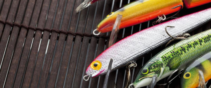 Does Color Matter? Two Factors That Affect Your Fishing Experience