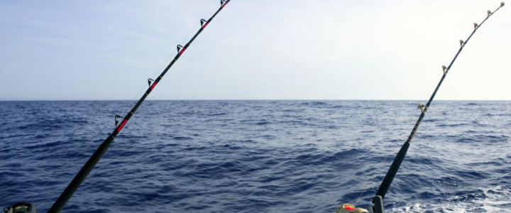 Choosing the Perfect Bait for Your Fishing Trip to Cabo San Lucas: What You Need to Know